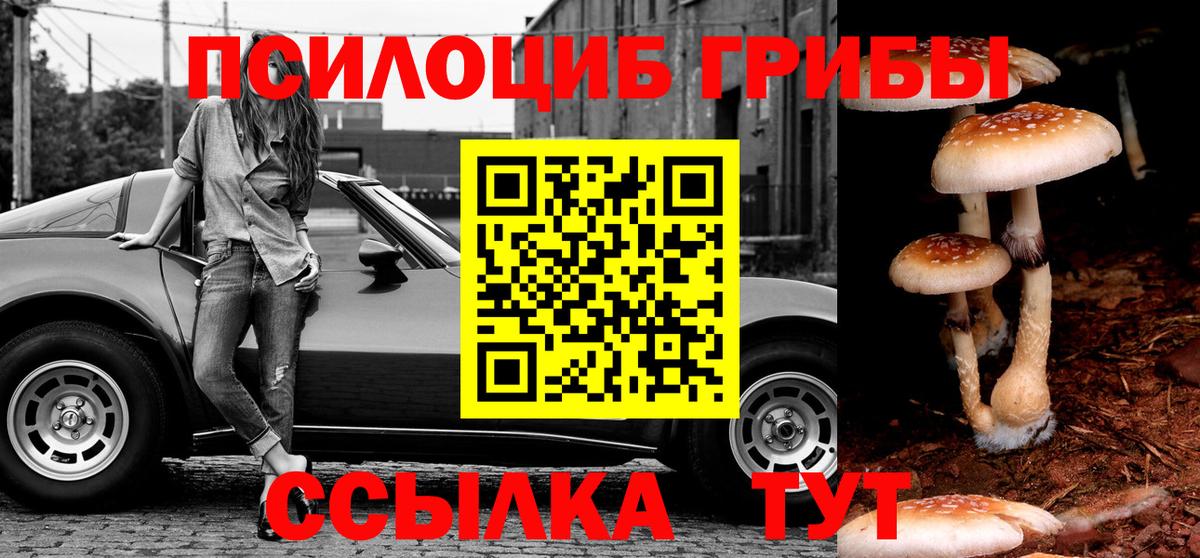 Галлюциногенные грибы Psilocybine cubensis Волжск